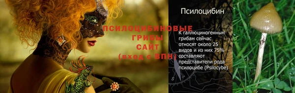 стаф Белокуриха