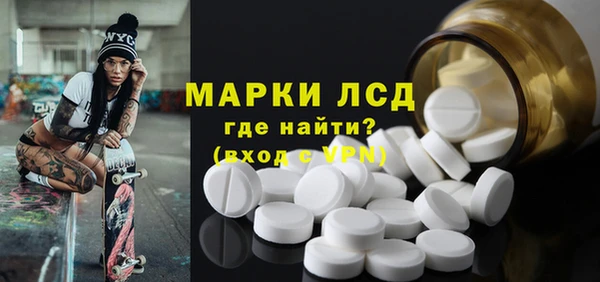 шишки Беломорск