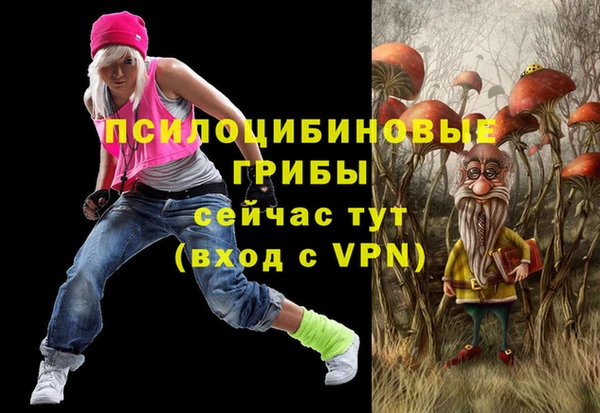 шишки Беломорск