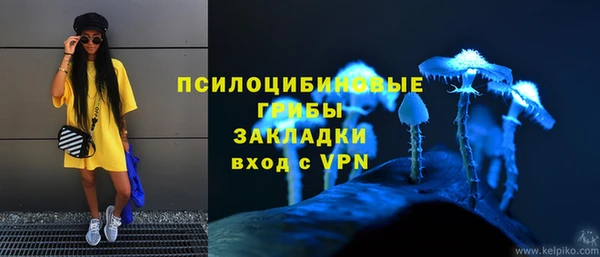 стаф Белокуриха