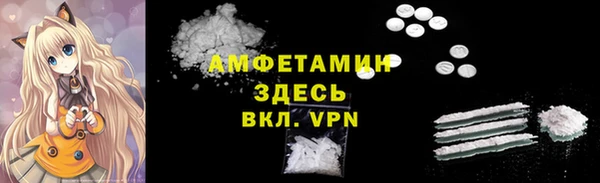 шишки Беломорск