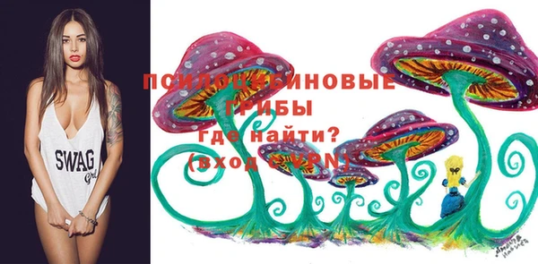 стаф Белокуриха