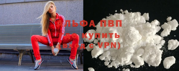 шишки Беломорск