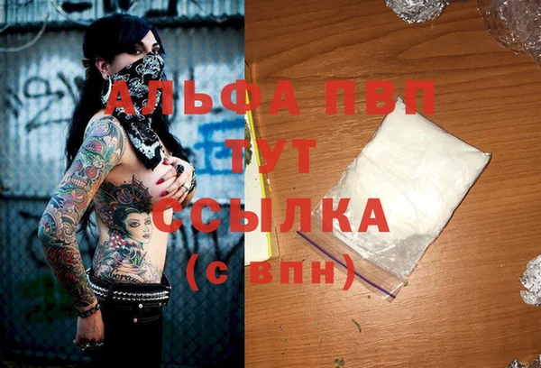 шишки Беломорск
