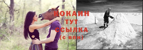стаф Белокуриха