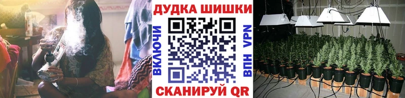 Бошки марихуана индика  где можно купить наркотик  Ужур 
